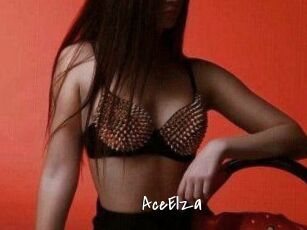 Ace_Elza