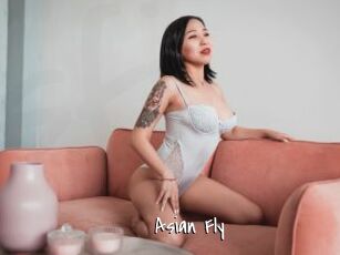 Asian_Fly