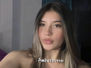 Amberbosse