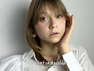 Antoniagoulder