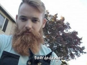 Beardedginger