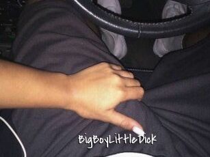 BigBoyLittleDick