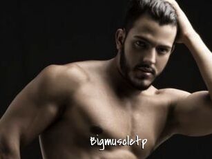 Bigmuscletp