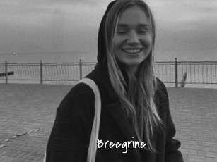 Breegrine