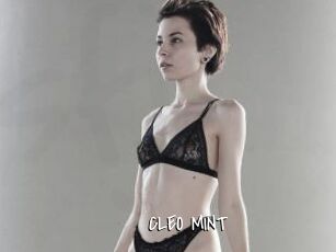 CLEO_MINT