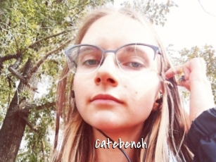 Catebench