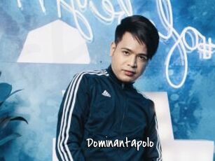 Dominantapolo