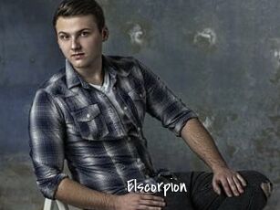 Elscorpion