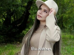 Elizabarnes