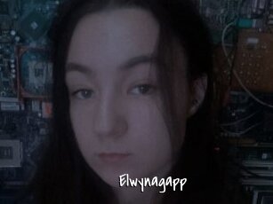 Elwynagapp