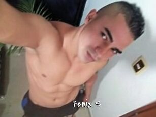 Fenix_S