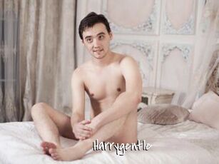 Harrygentle