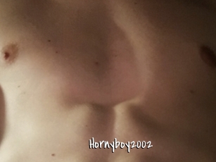 Hornyboy2002