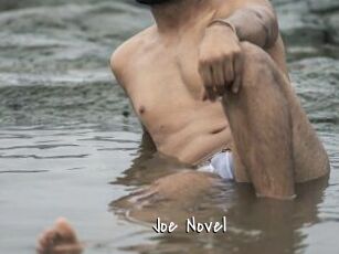 Joe_Novel