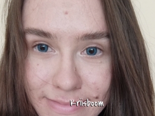 Kriisboom