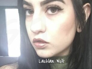 Lachlan_Wolf