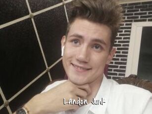 Landon_Junk