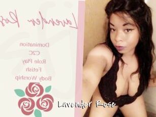 Lavender_Rose
