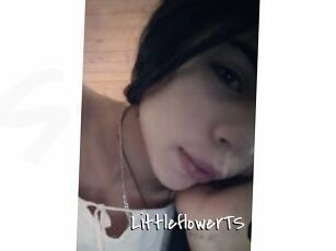 LittleflowerTS