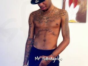 Mr_Savagelee