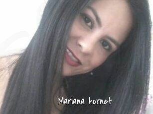 Mariana_hornet