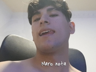 Mario_neta