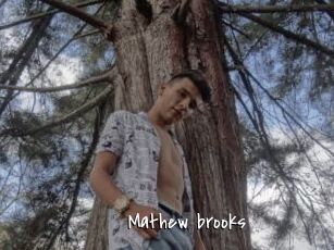 Mathew_brooks