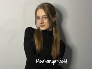 Meghangarfield