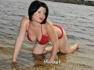 Missnet