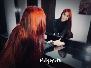 Mollyexotic