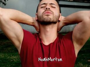 NoahMorton