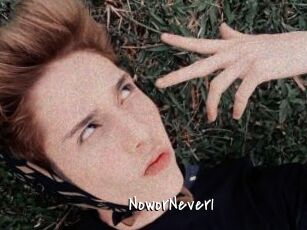 NoworNever1