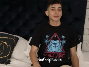 Noahsprouse