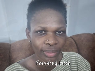 Pervated_bitch