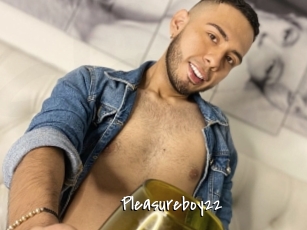 Pleasureboy22