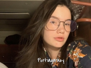 Portiagarney