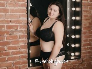 Rosaliebigboobs
