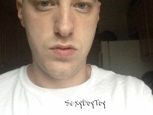 SexyBoyToy