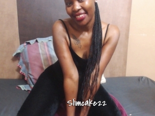 Slimcake22