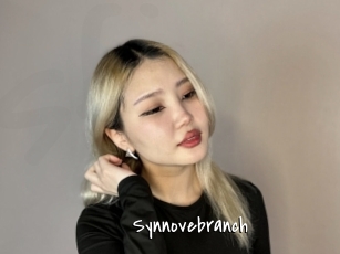Synnovebranch
