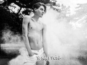 TenderTwink