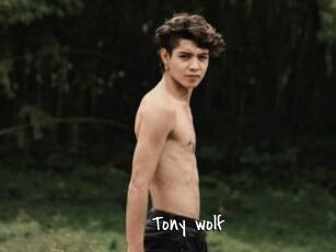 Tony_wolf