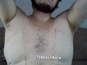 Transshadow