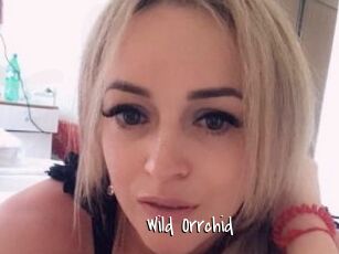 Wild_Orrchid