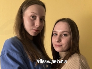 Willaandantonia