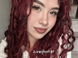 Zowyfoster